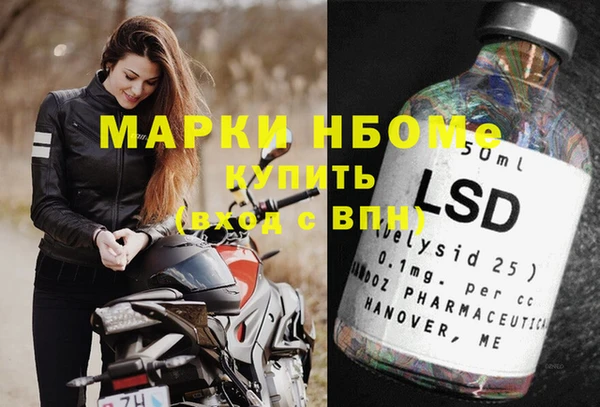 шишки Алексин